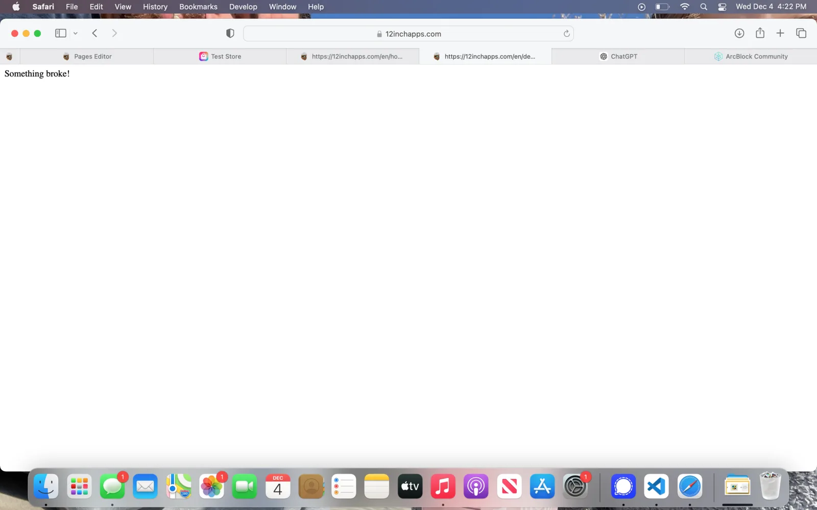 Screen Shot 2024-12-04 at 4.22.15 PM.png