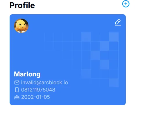 Screenshot 2024-11-15 095735.png